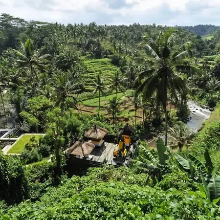 River Song Bali Ubud Extérieur photo