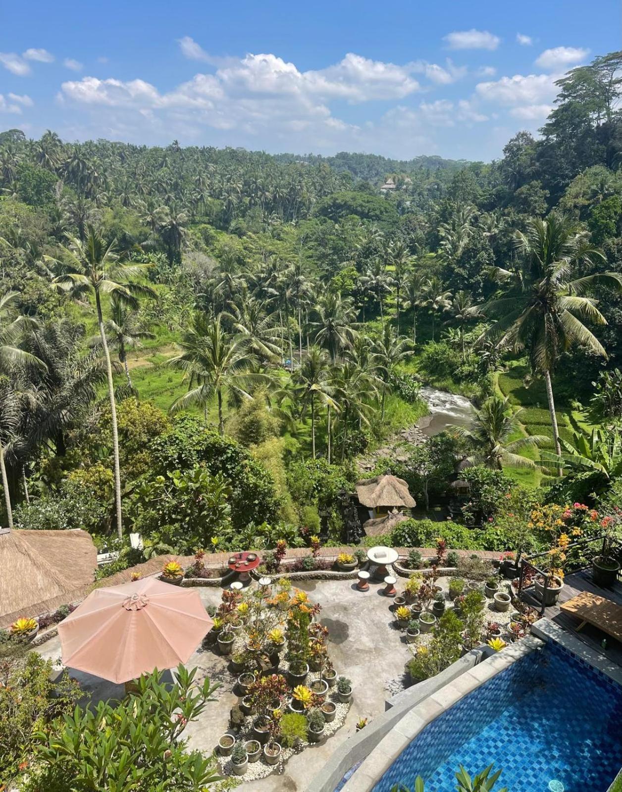 Villa River Song Bali Ubud (Bali)