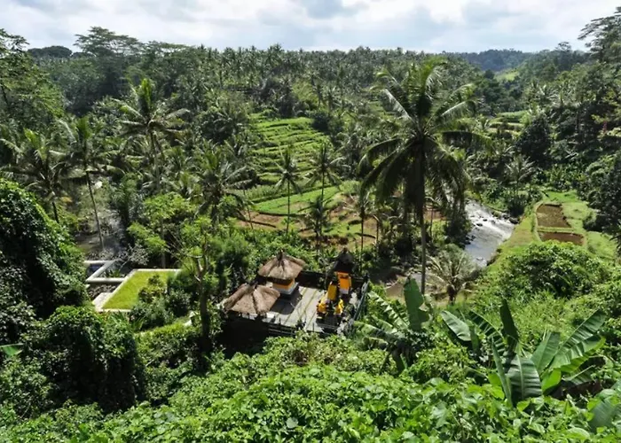 River Song Bali