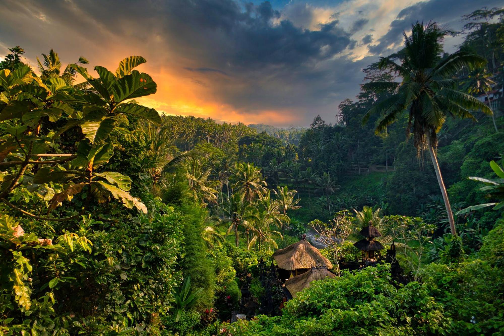 Villa River Song Bali