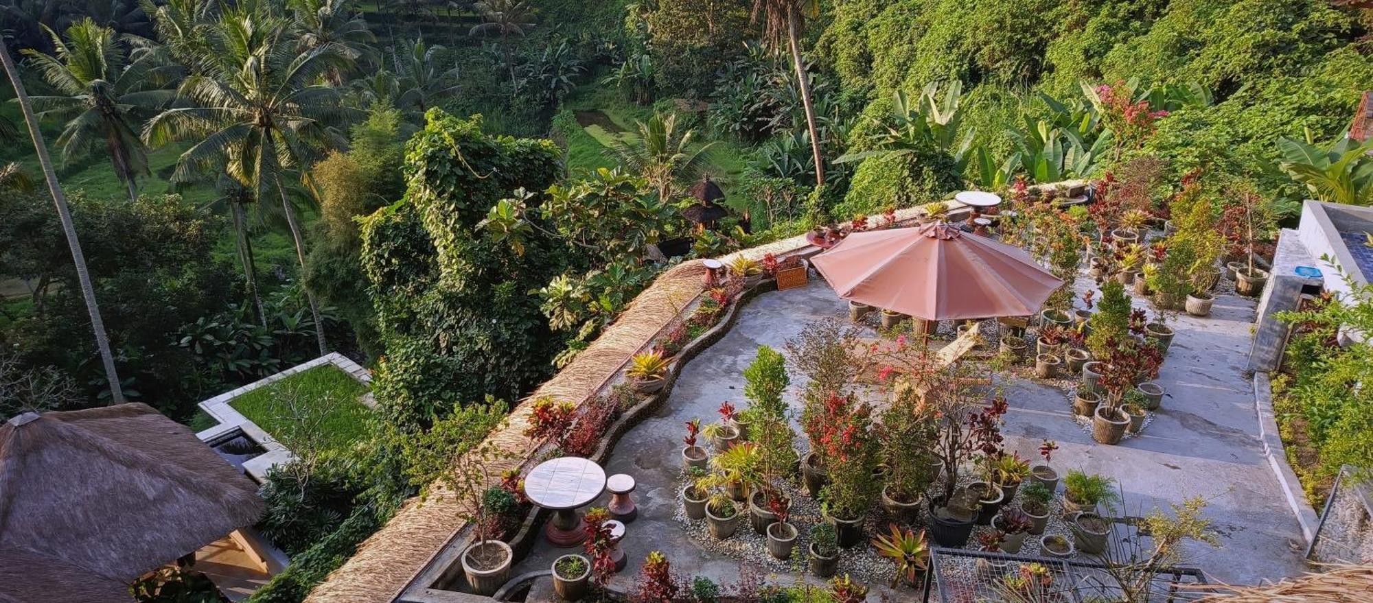 River Song Bali Ubud