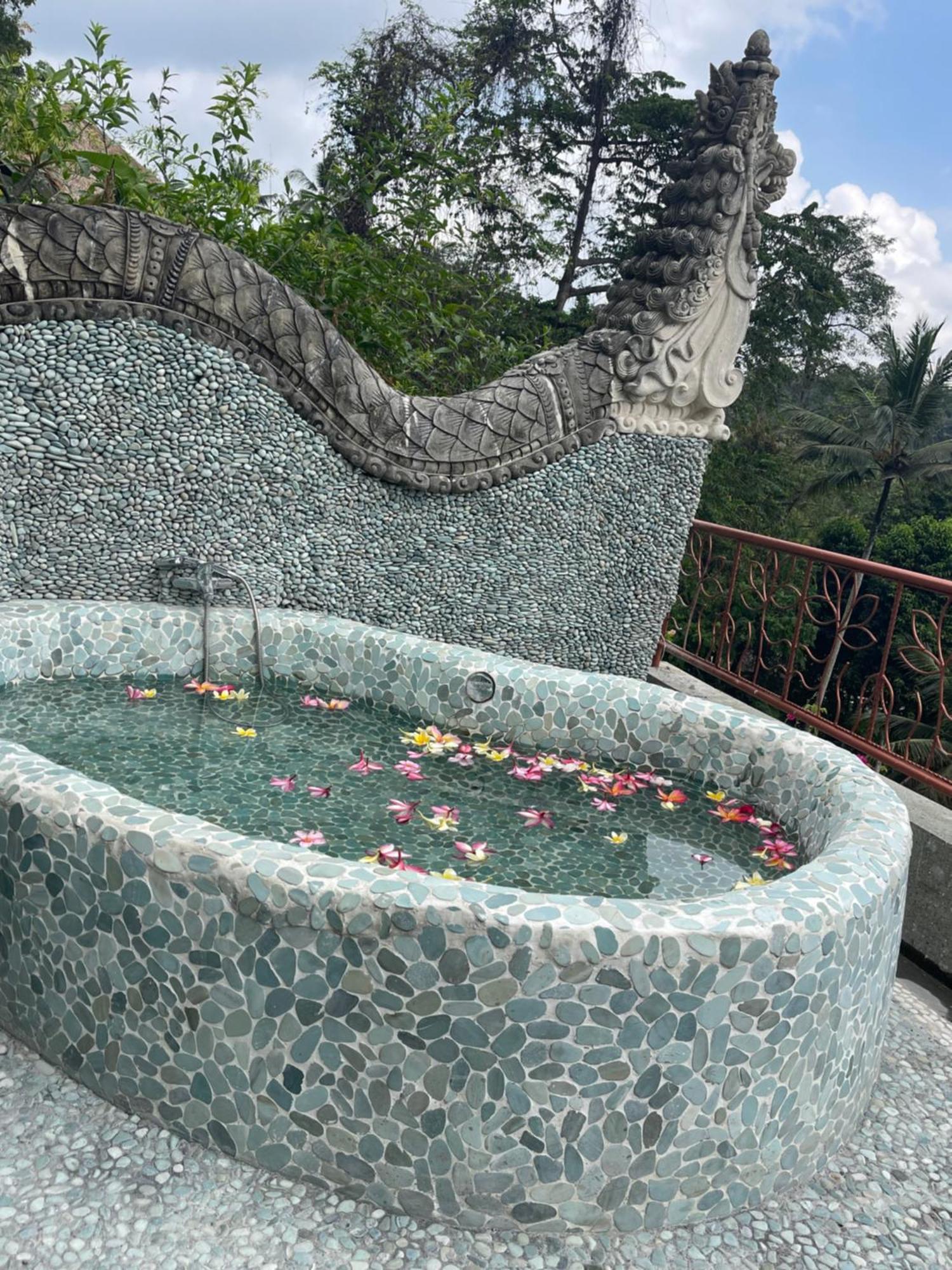 Villa River Song Bali *