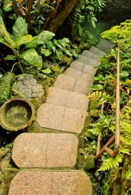 River Song Bali *